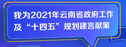 我為2021年云南省政府工作及“十四五”規劃建言獻策